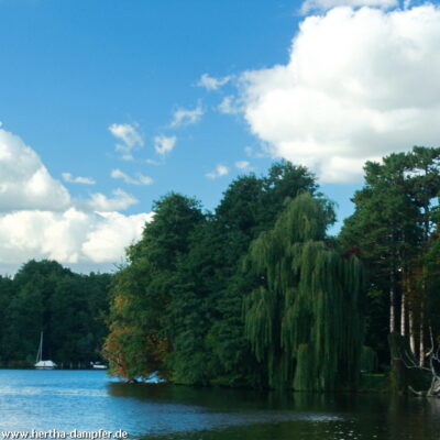 Idylle an der Insel im Untersee