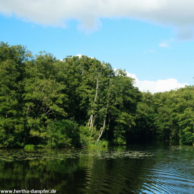 Das Tor zur Wildnis - Einfahrt in den Waldkanal