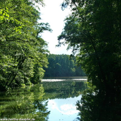 Ausfahrt aus dem Waldkanal Stolpe
